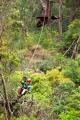 Maui Zip Line Tours